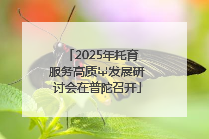 2025年托育服务高质量发展研讨会在普陀召开