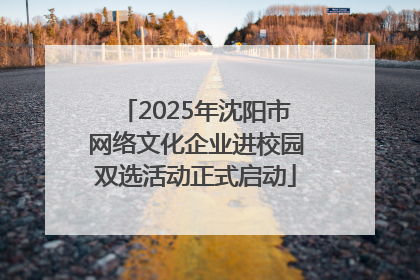 2025年沈阳市网络文化企业进校园双选活动正式启动