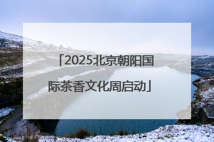 2025北京朝阳国际茶香文化周启动