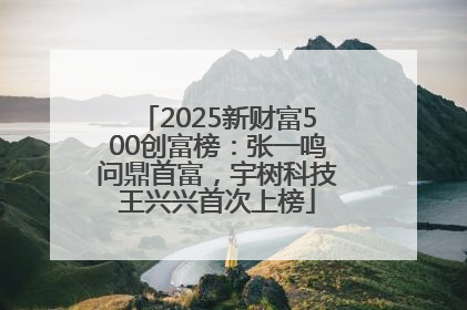 2025新财富500创富榜：张一鸣问鼎首富，宇树科技王兴兴首次上榜