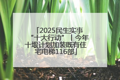 2025民生实事“十大行动”丨今年十堰计划加装既有住宅电梯116部