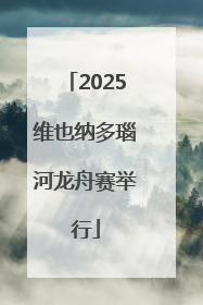 2025维也纳多瑙河龙舟赛举行