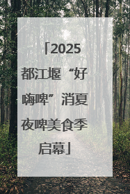 2025都江堰“好嗨啤”消夏夜啤美食季启幕