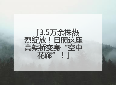 3.5万余株热烈绽放！日照这座高架桥变身“空中花廊”！