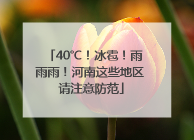 40℃！冰雹！雨雨雨！河南这些地区 请注意防范