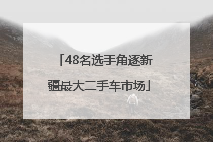 48名选手角逐新疆最大二手车市场