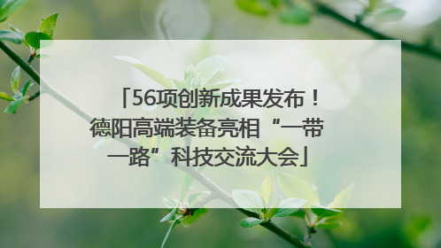 56项创新成果发布！德阳高端装备亮相“一带一路”科技交流大会