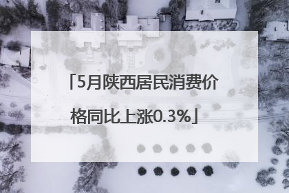 5月陕西居民消费价格同比上涨0.3%