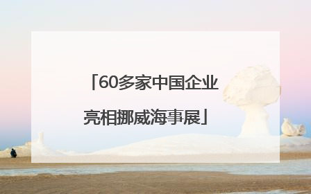 60多家中国企业亮相挪威海事展