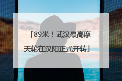 89米！武汉最高摩天轮在汉阳正式开转