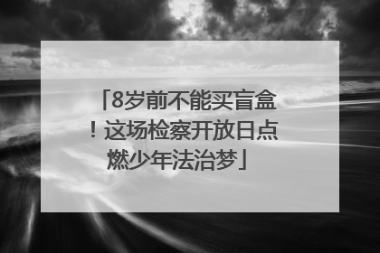 8岁前不能买盲盒！这场检察开放日点燃少年法治梦