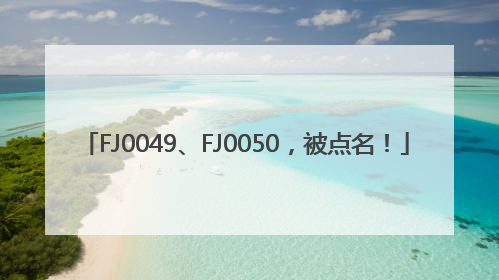 FJ0049、FJ0050，被点名！
